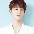 夏之光
