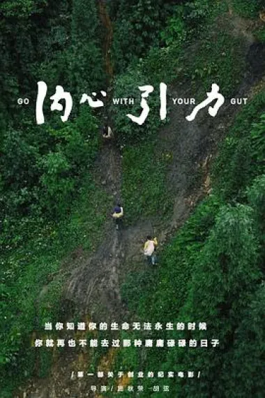 内心引力 2160P 4K 下载