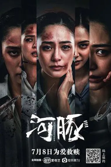 河豚 下载
