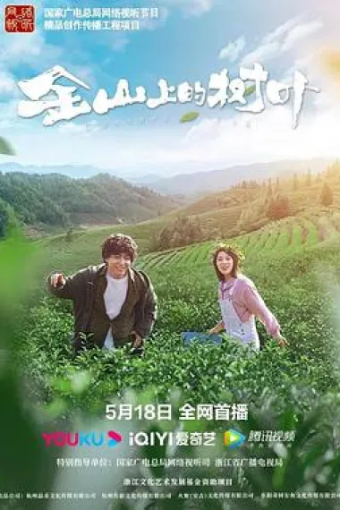 金山上的树叶 2160P 4K 杜比视界 下载