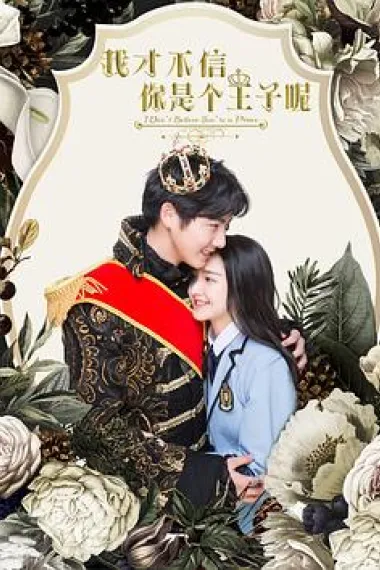 我才不信你是个王子呢 2160P 4K 下载
