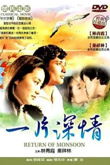 一片深情 2160P 4K 下载