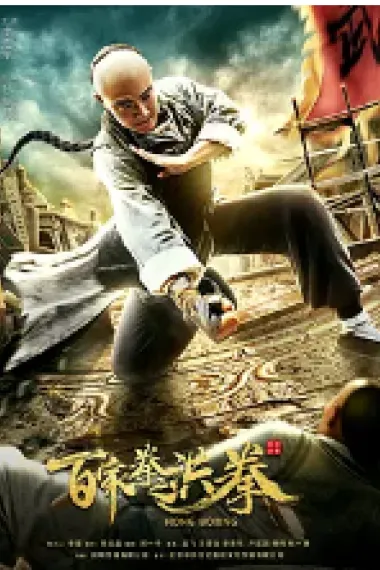 百家拳之洪拳 2160P 4K 下载