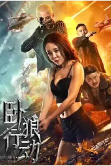 卧狼行动 下载