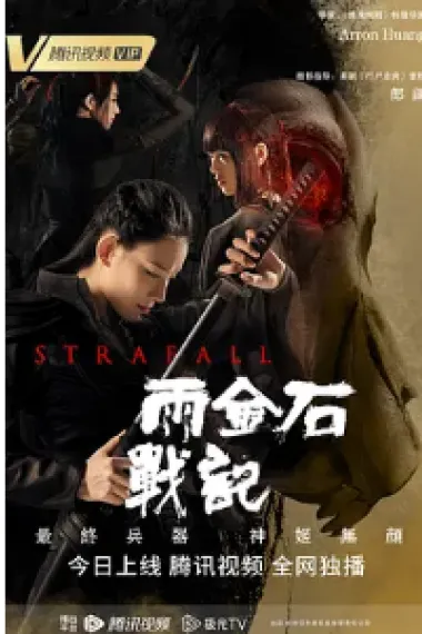 雨金石战记 2160P 4K 下载
