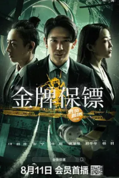 金牌保镖 2160P 4K 下载