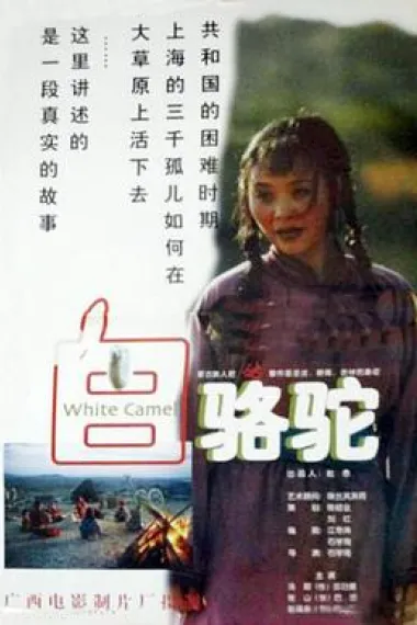 白骆驼 下载