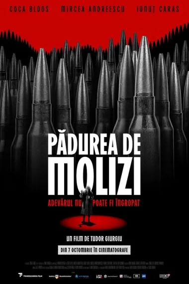 Pădurea de molizi 2160P 4K 下载