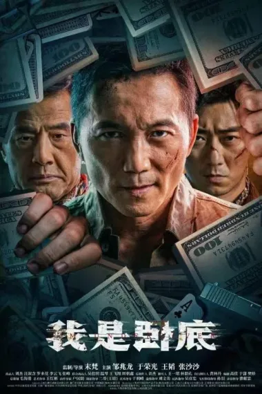 我是卧底 下载